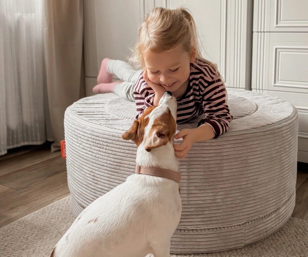 #farbe_cord-koala-grau